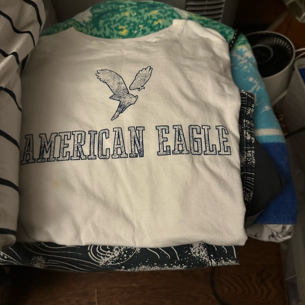 American Eagle Outfitters men’s navy blue & White short sleeve Tee